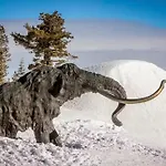 Chamonix 6